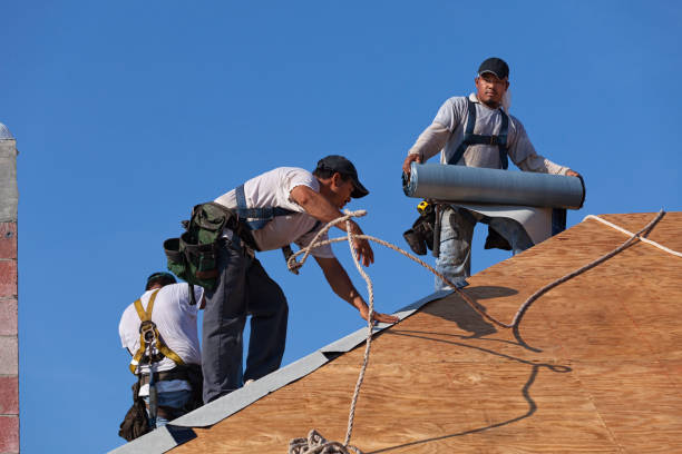 Best Shingle Roofing Installation  in Nanawale Estates, HI