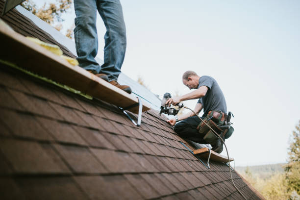 Best Roof Waterproofing Services  in Nanawale Estates, HI