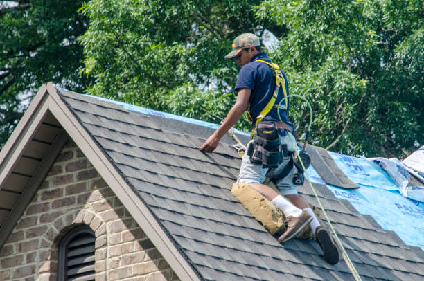 Best Metal Roofing Contractor  in Nanawale Estates, HI