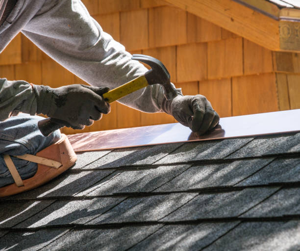 Best Roof Gutter Cleaning  in Nanawale Estates, HI